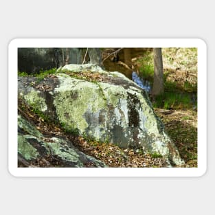 Boulder with lichen Sticker